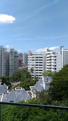 Three Three Robin (D10), Apartment #73163962